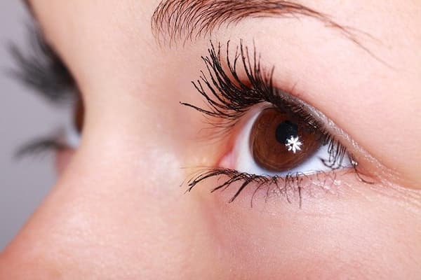 Guidance On How To Clean Magnetic Lashes